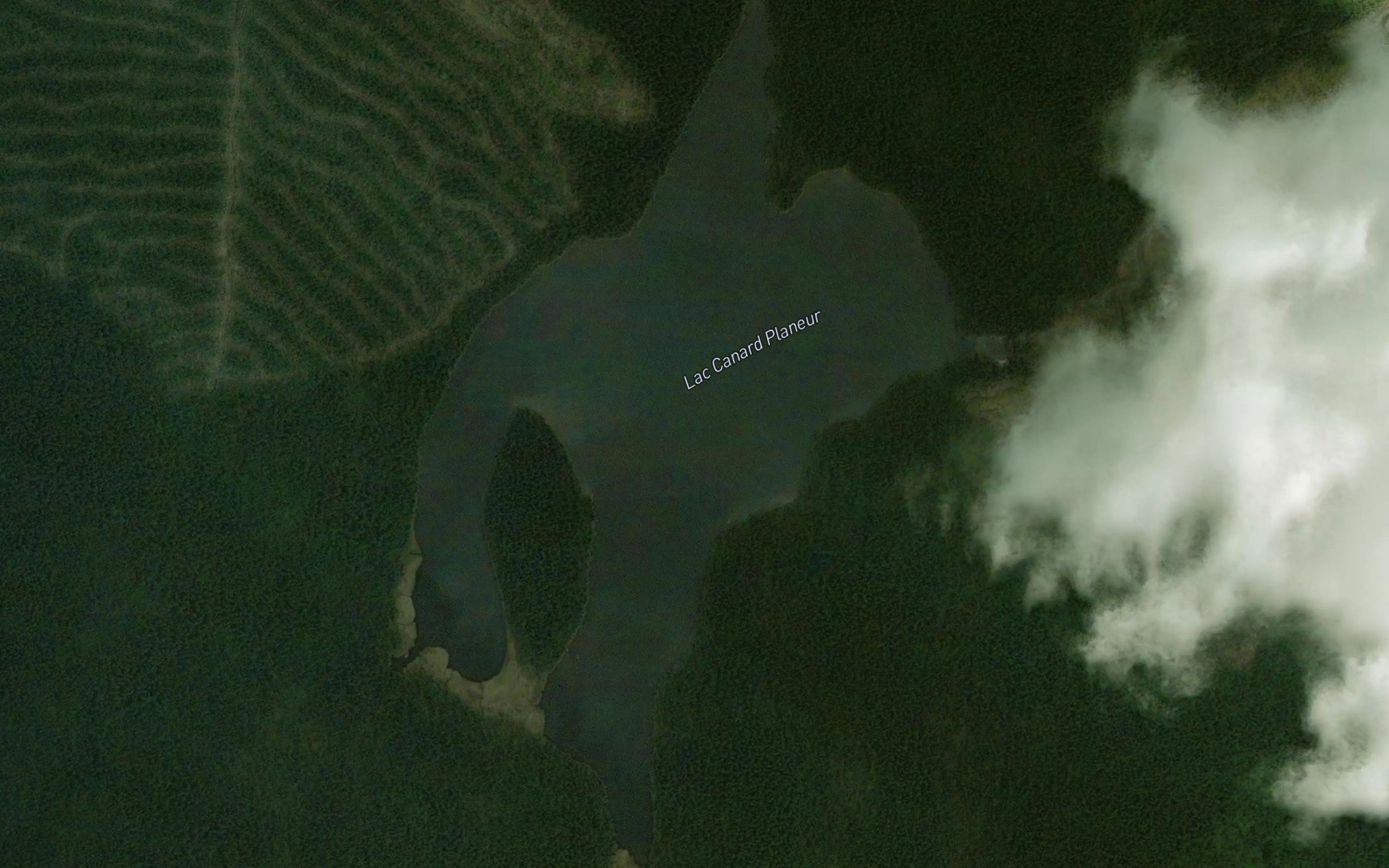 Satellite map of the Lac Canard Planeur