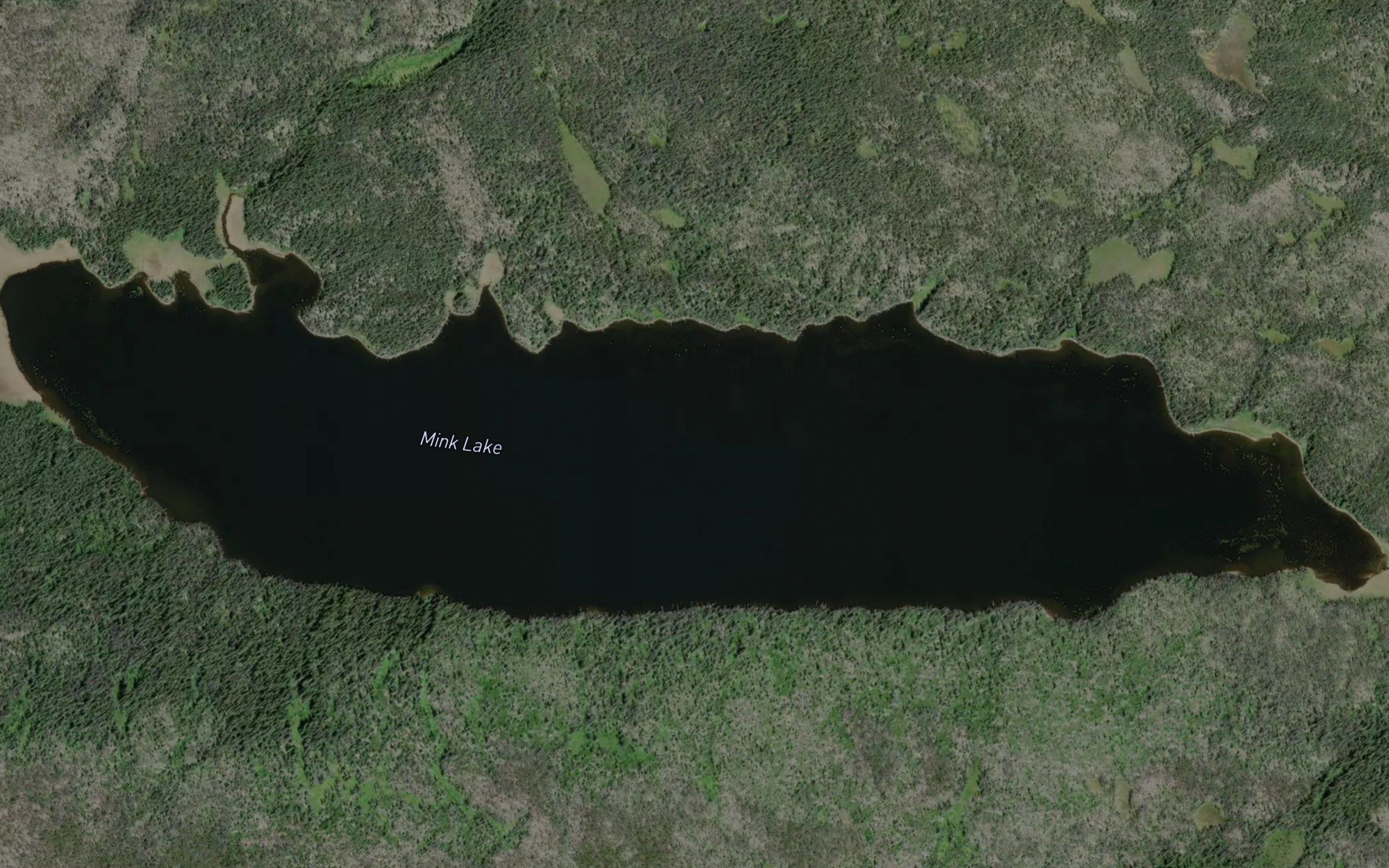 Mink Lake