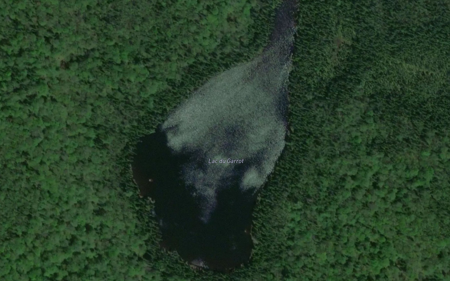 Satellite map of the Lac du Garrot