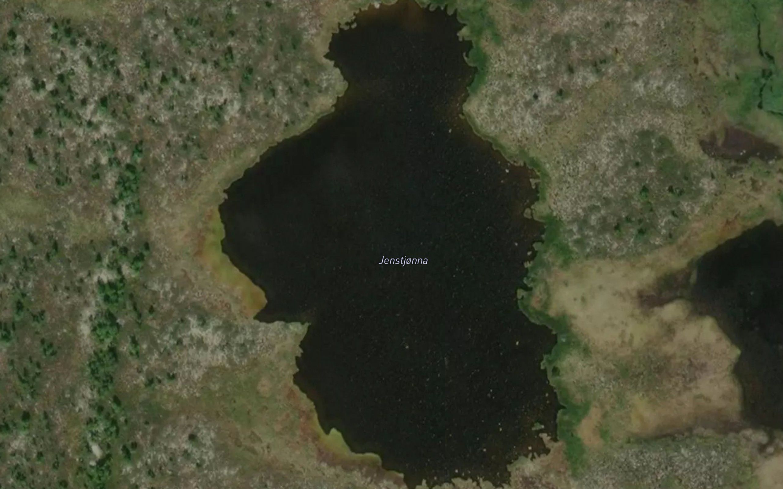 Jenstjorna