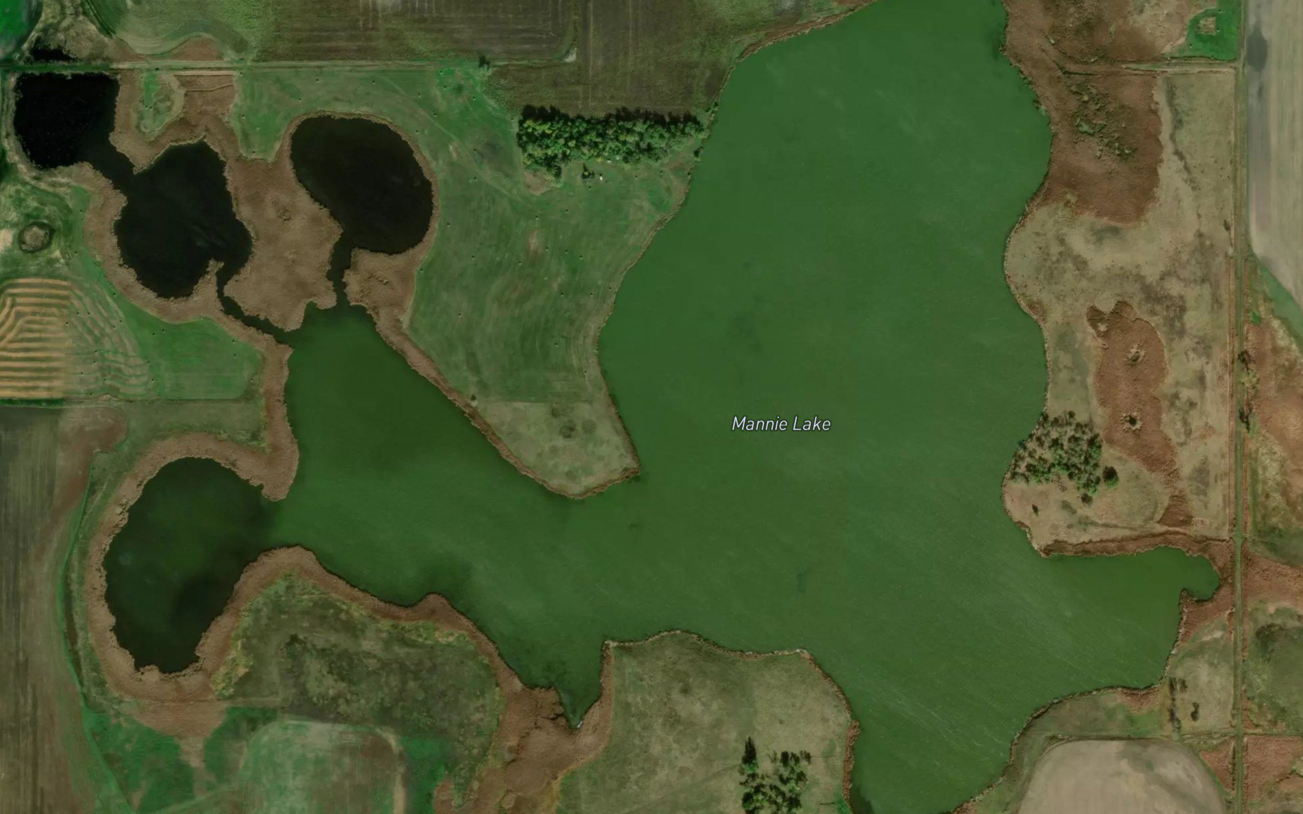 Mannie Lake