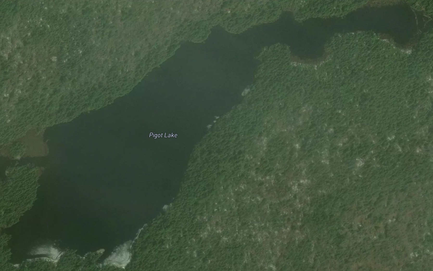 Satellite map of the Pigot Lake