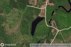 Kidney Lake