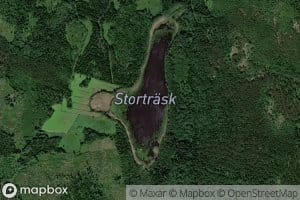 Stortrask
