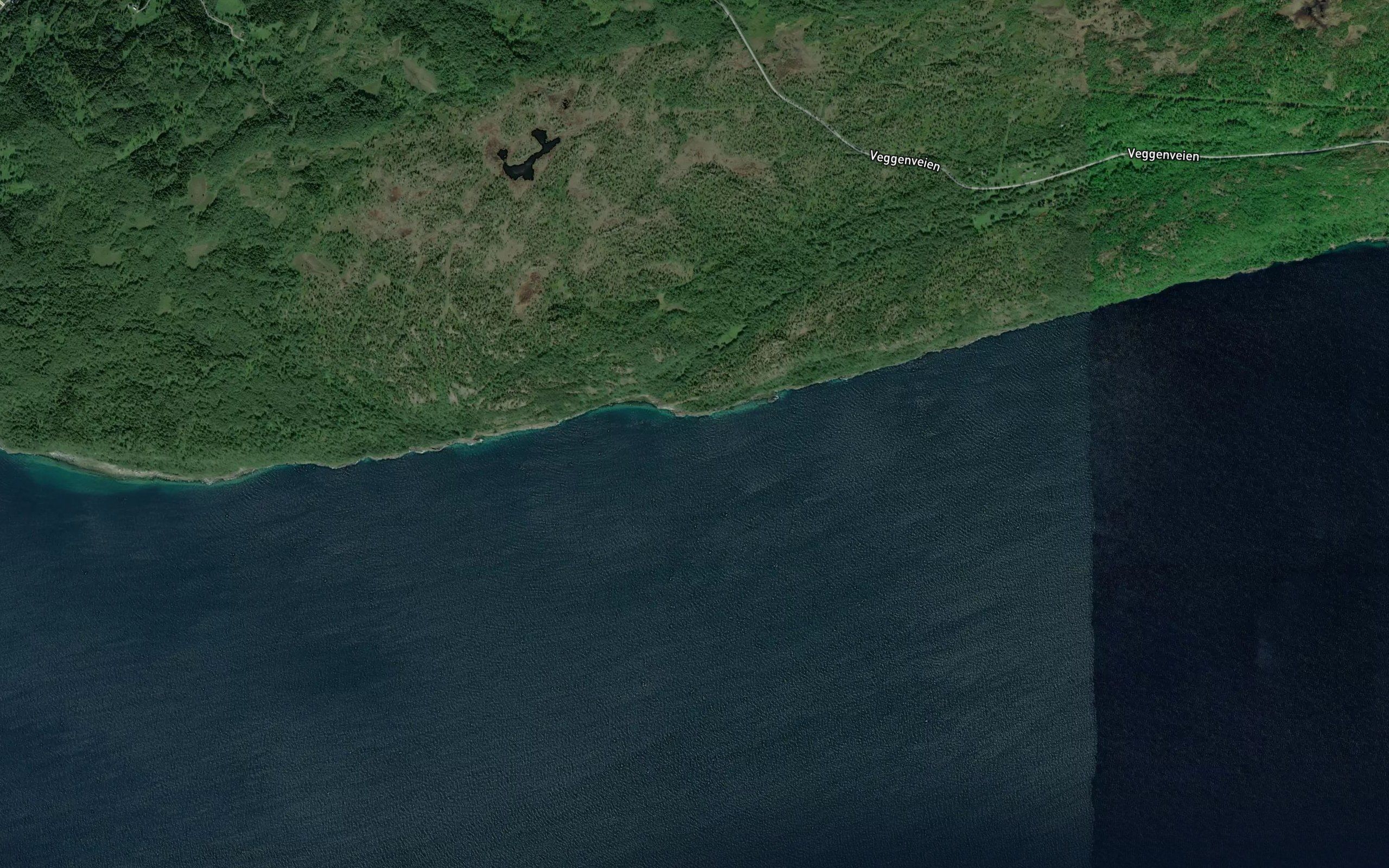 Hoggvika