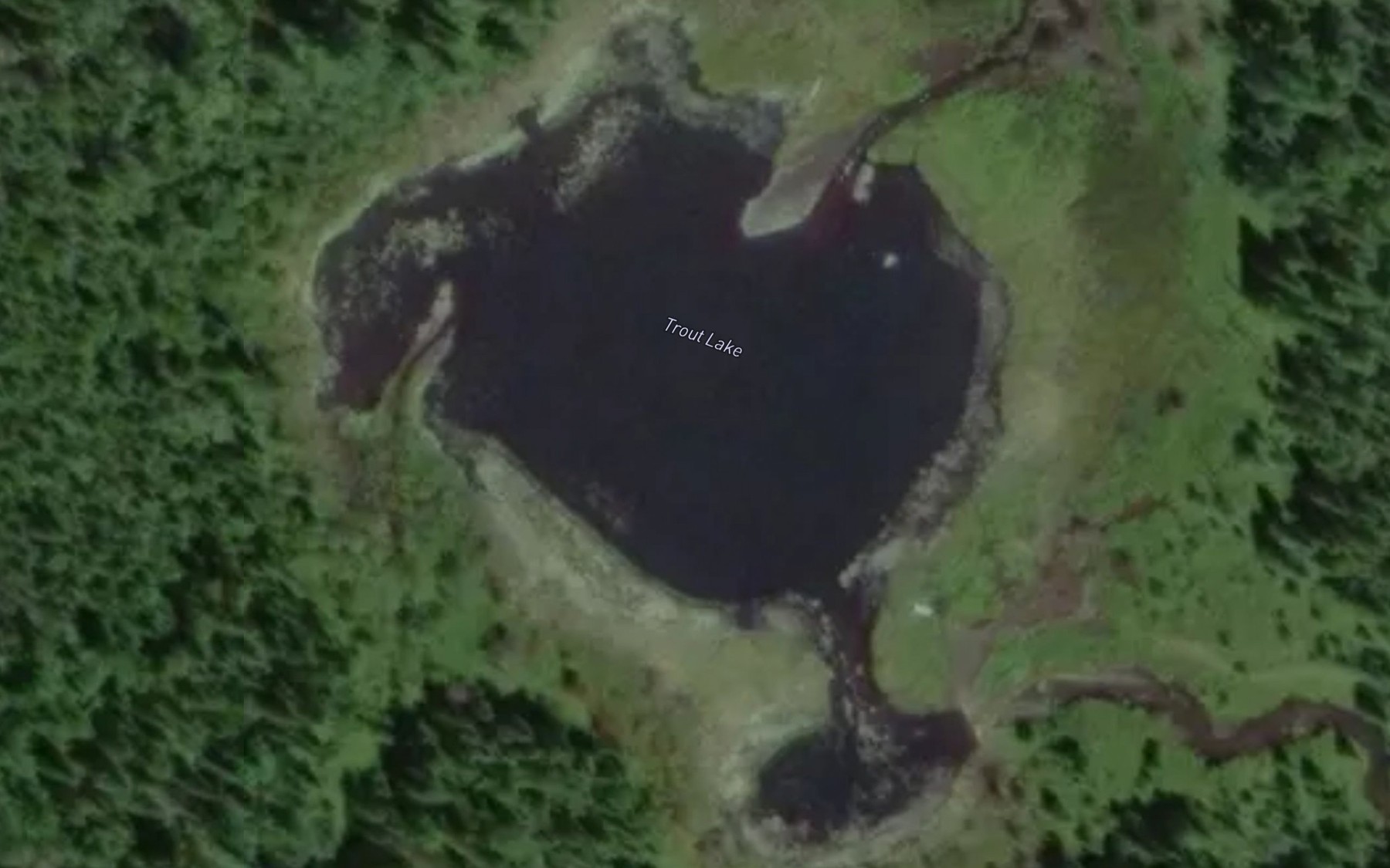 Satellite map of the Trout Lake