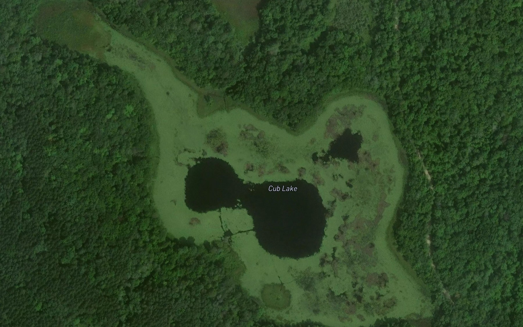 Satellite map of the Cub Lake