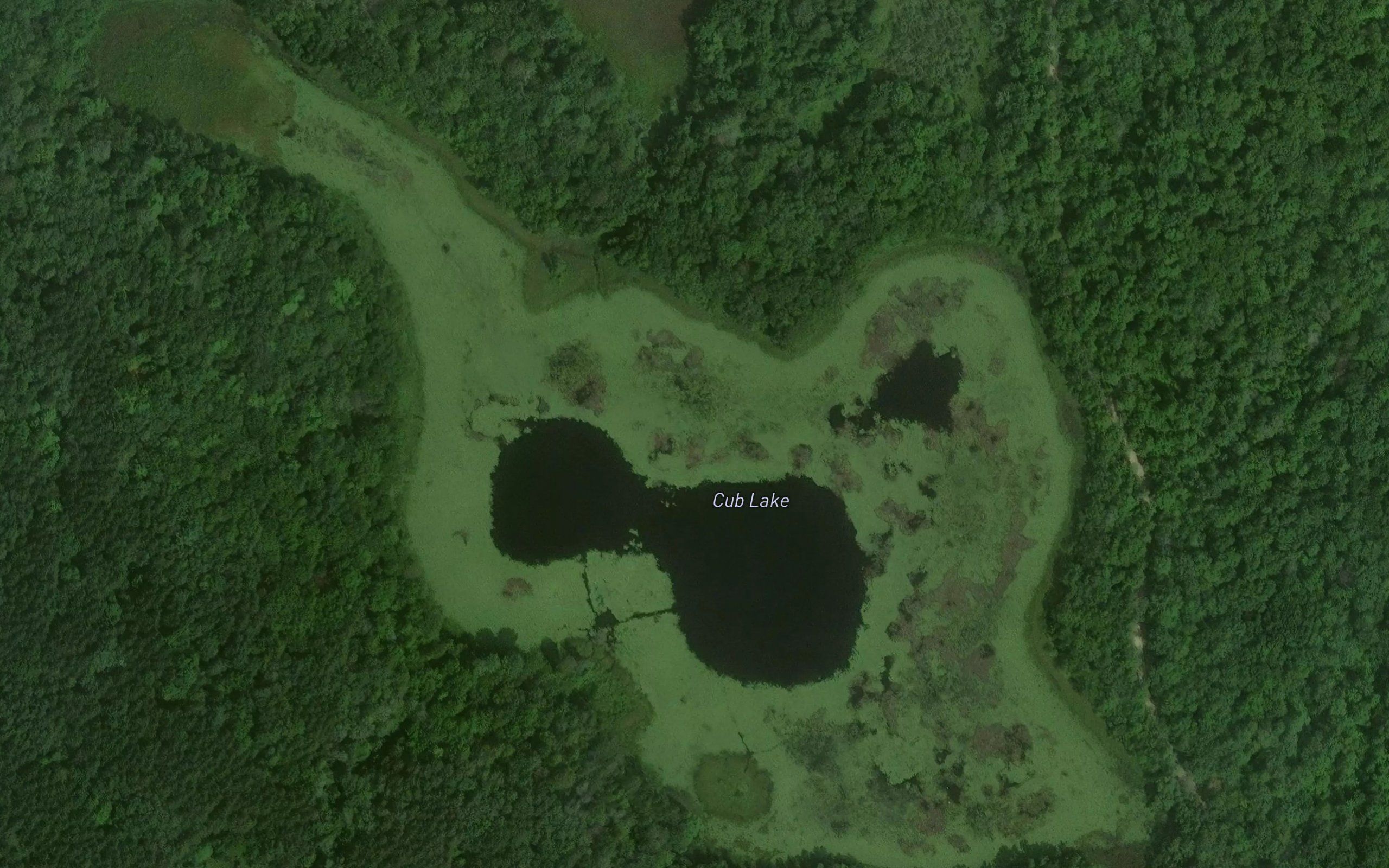 Cub Lake
