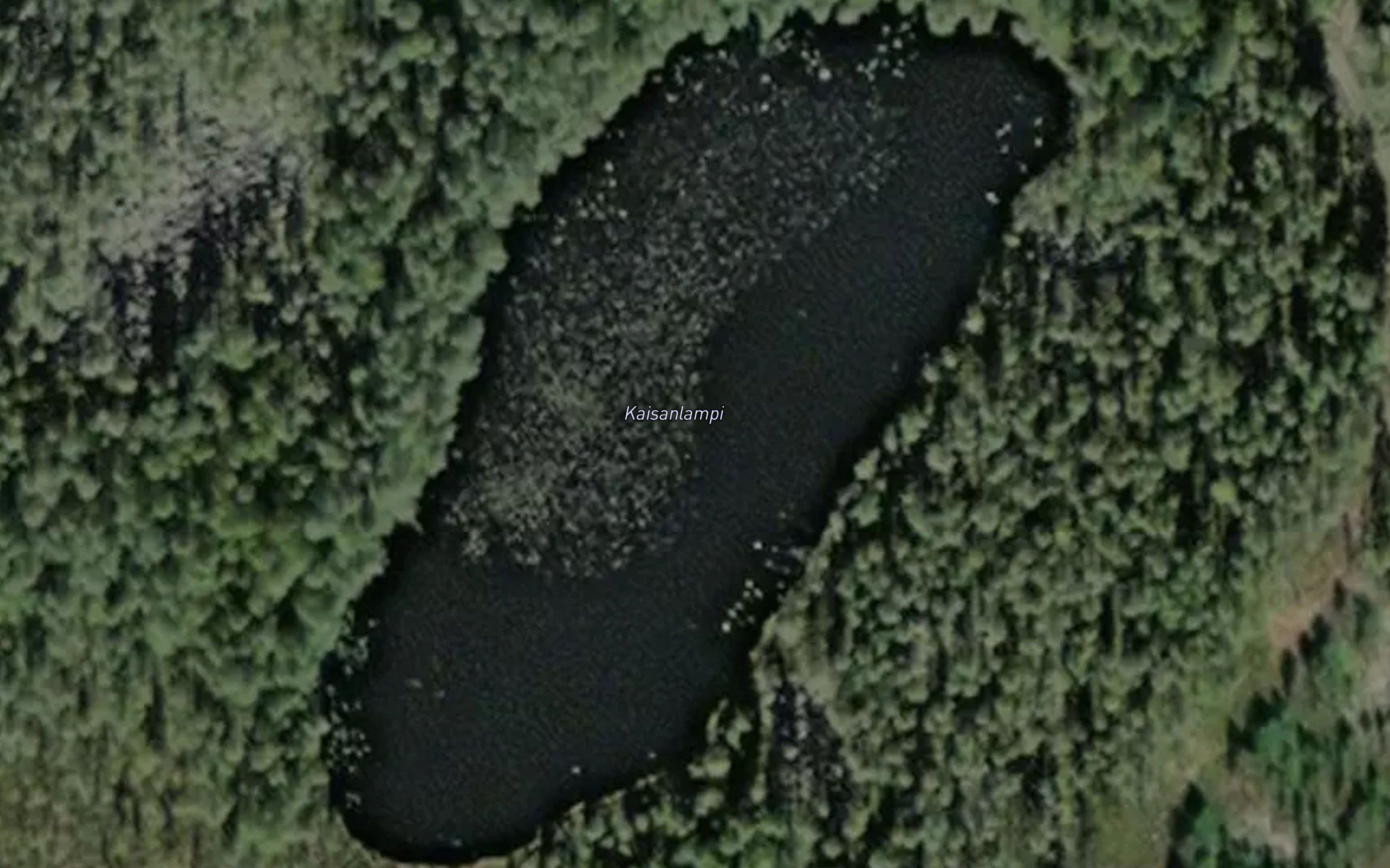 Kaisanlampi