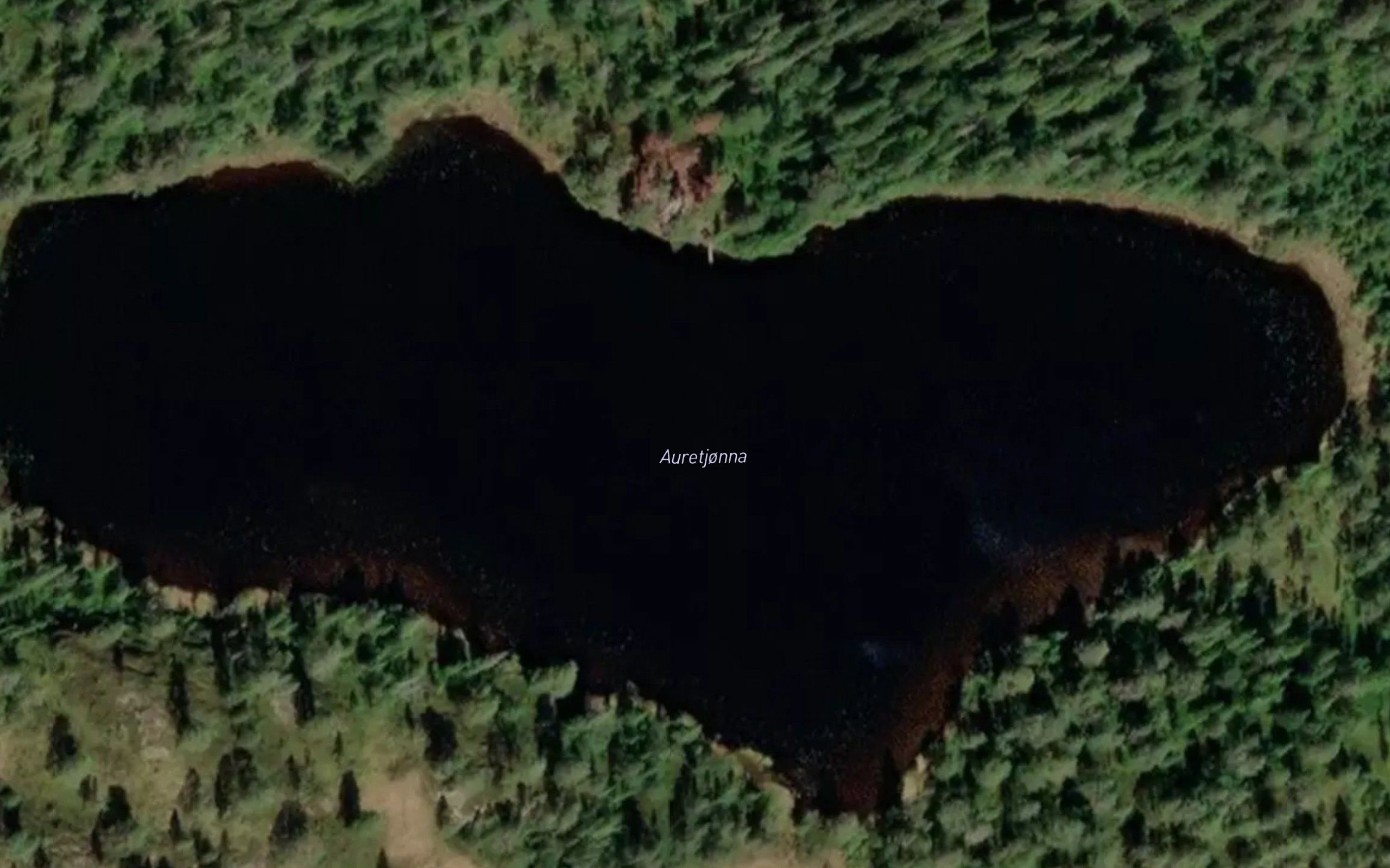 Auretjorna