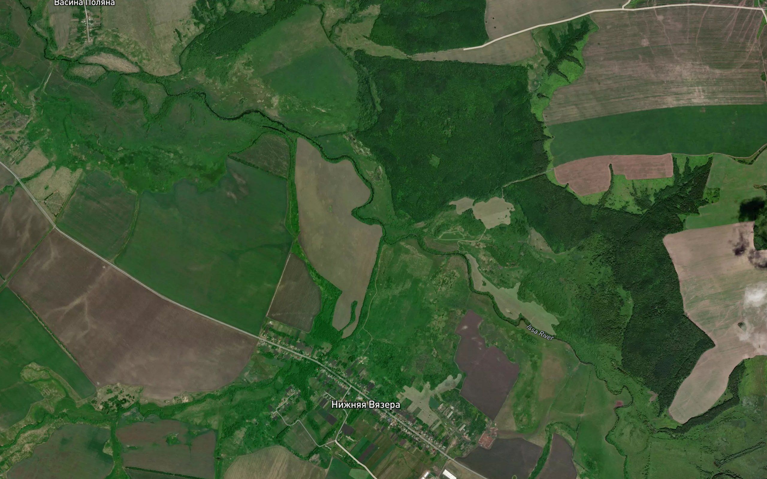 Vyazera