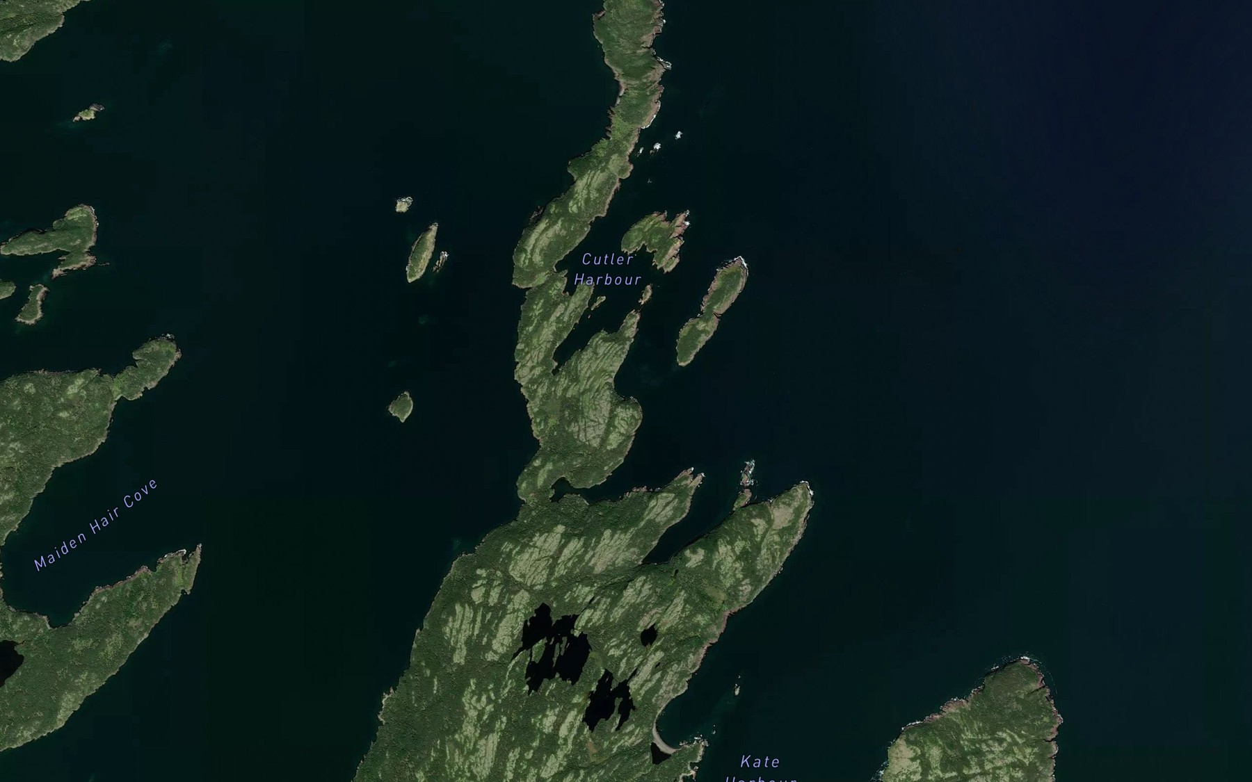Satellite map of the Barneys Cove