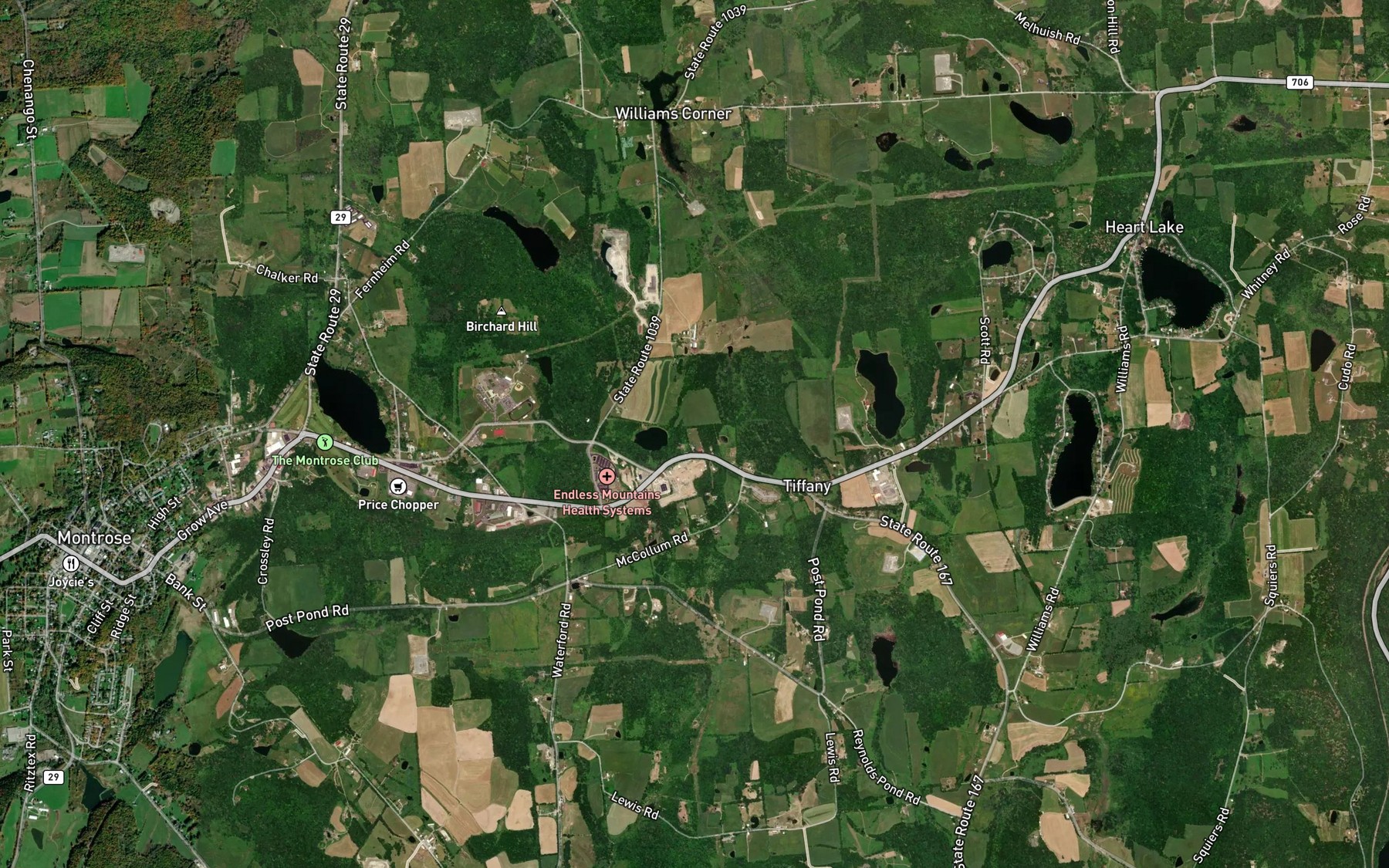 Satellite map of the Zlotucha Pond