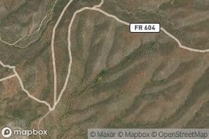 Hackberry Basin Spring