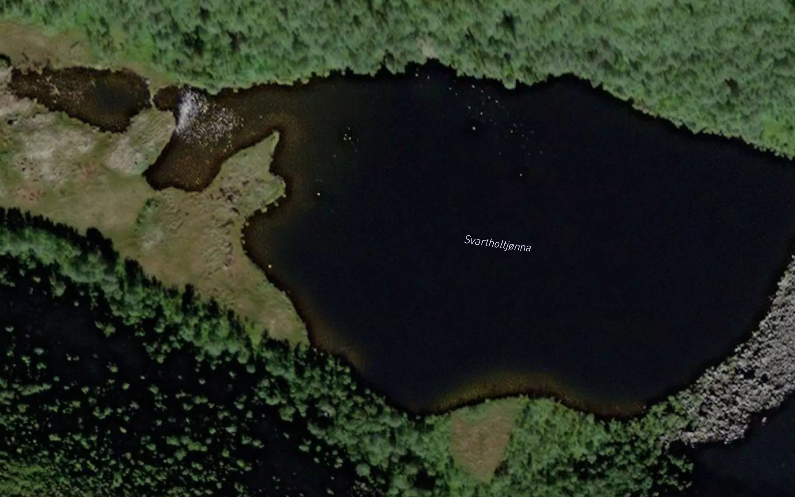 Svartholtjorna