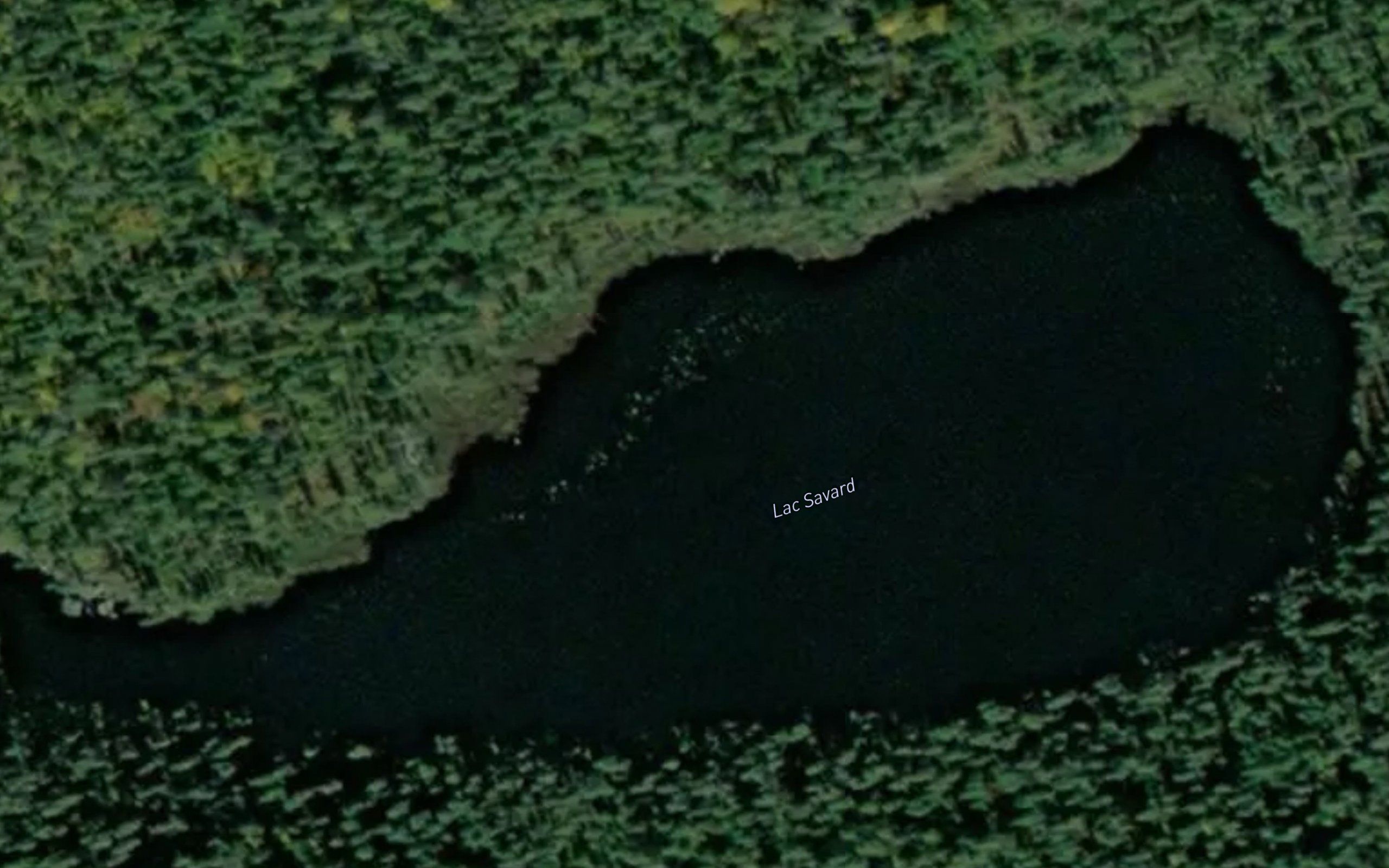 Lac Savard