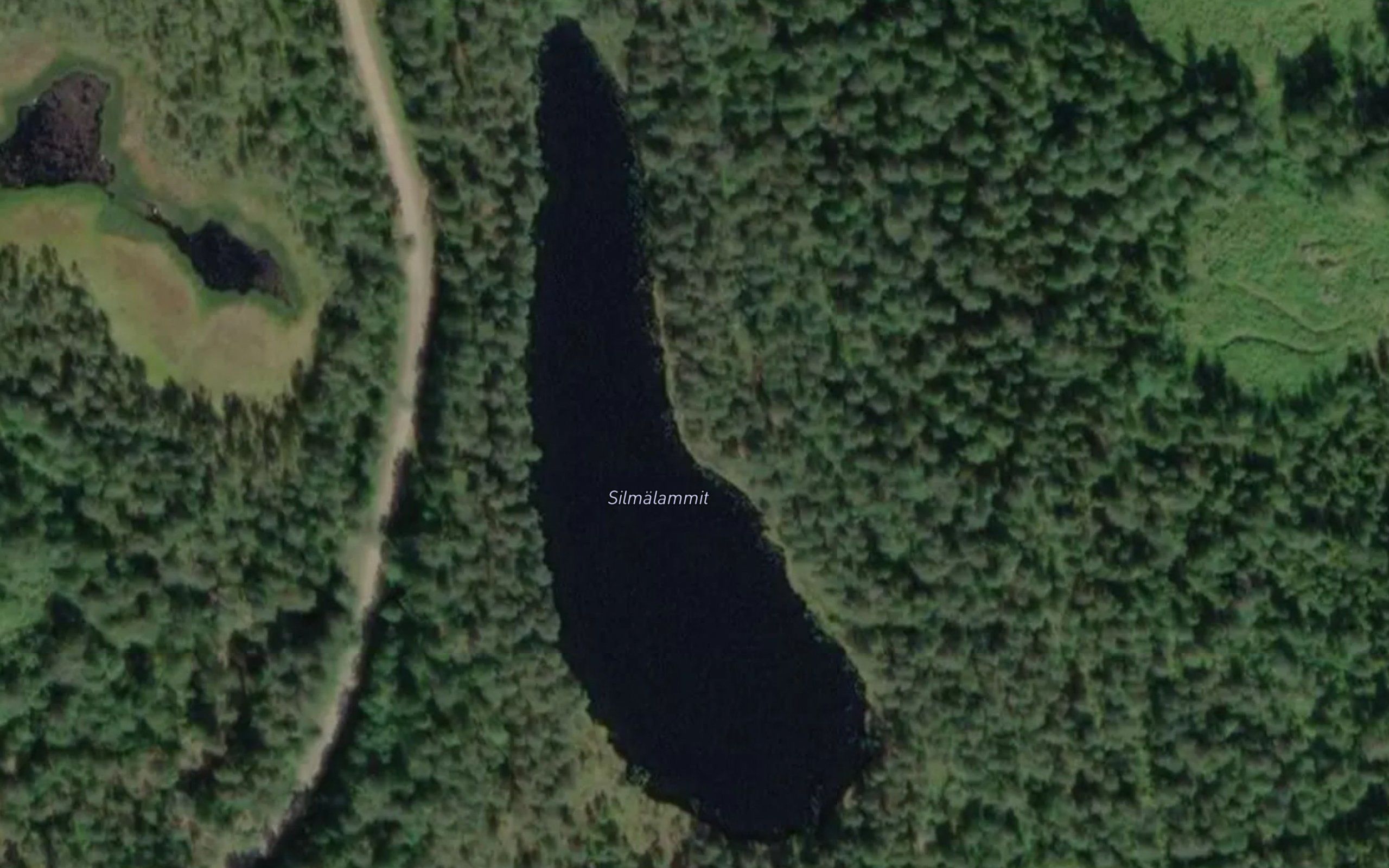Silmalammit