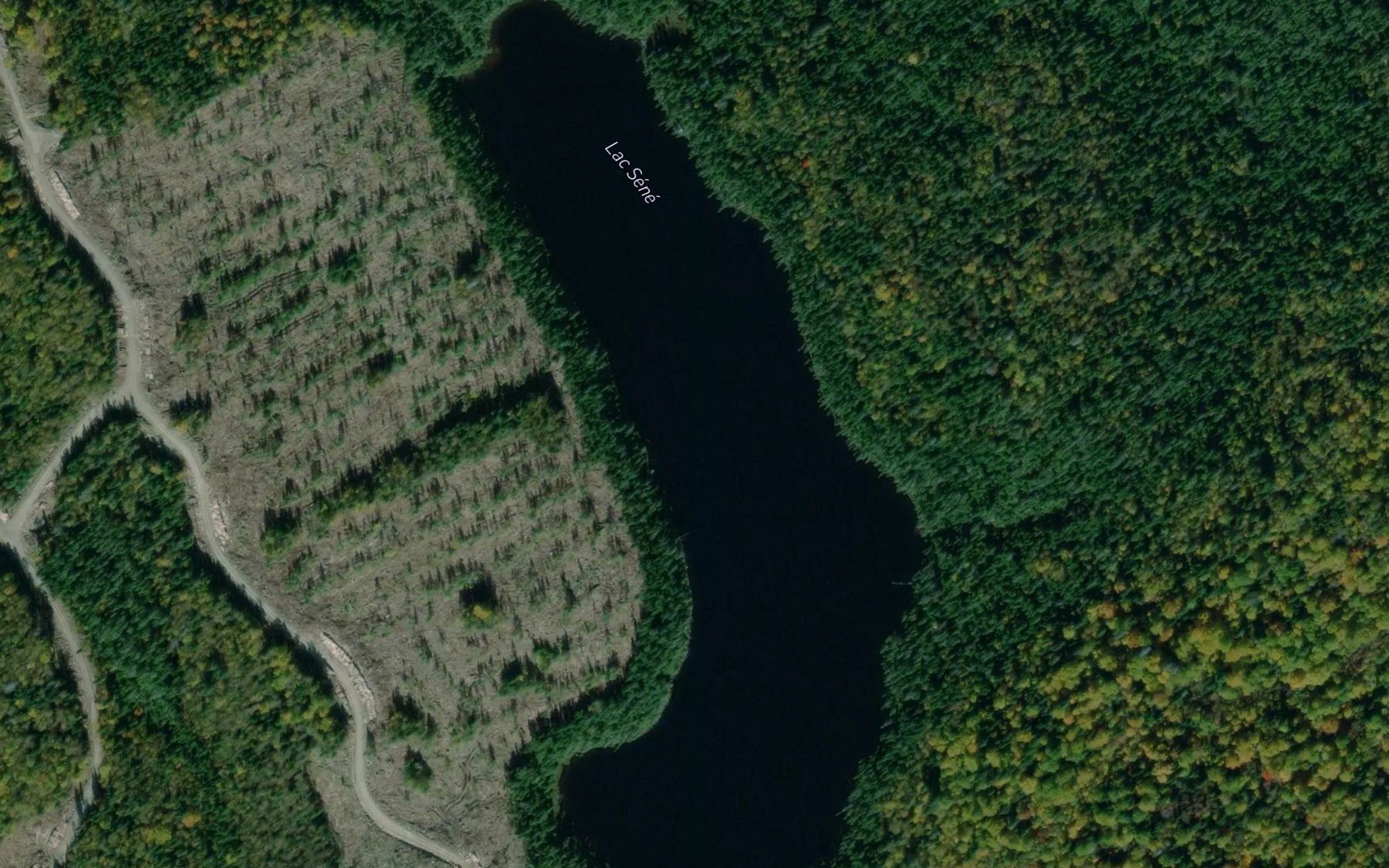 Satellite map of the Lac Sene