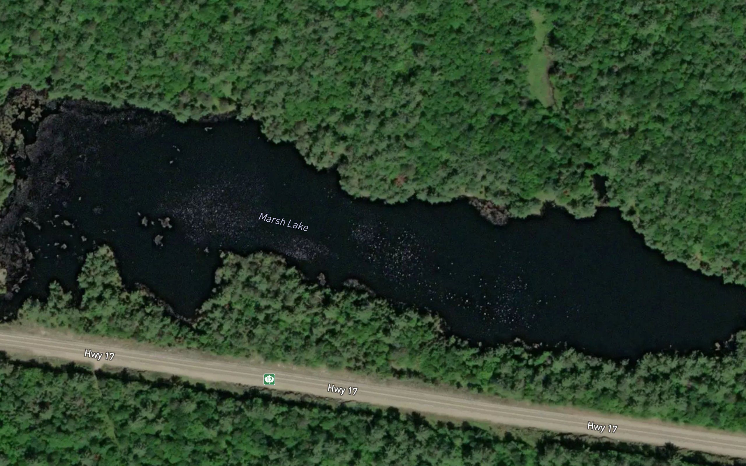 Marsh Lake