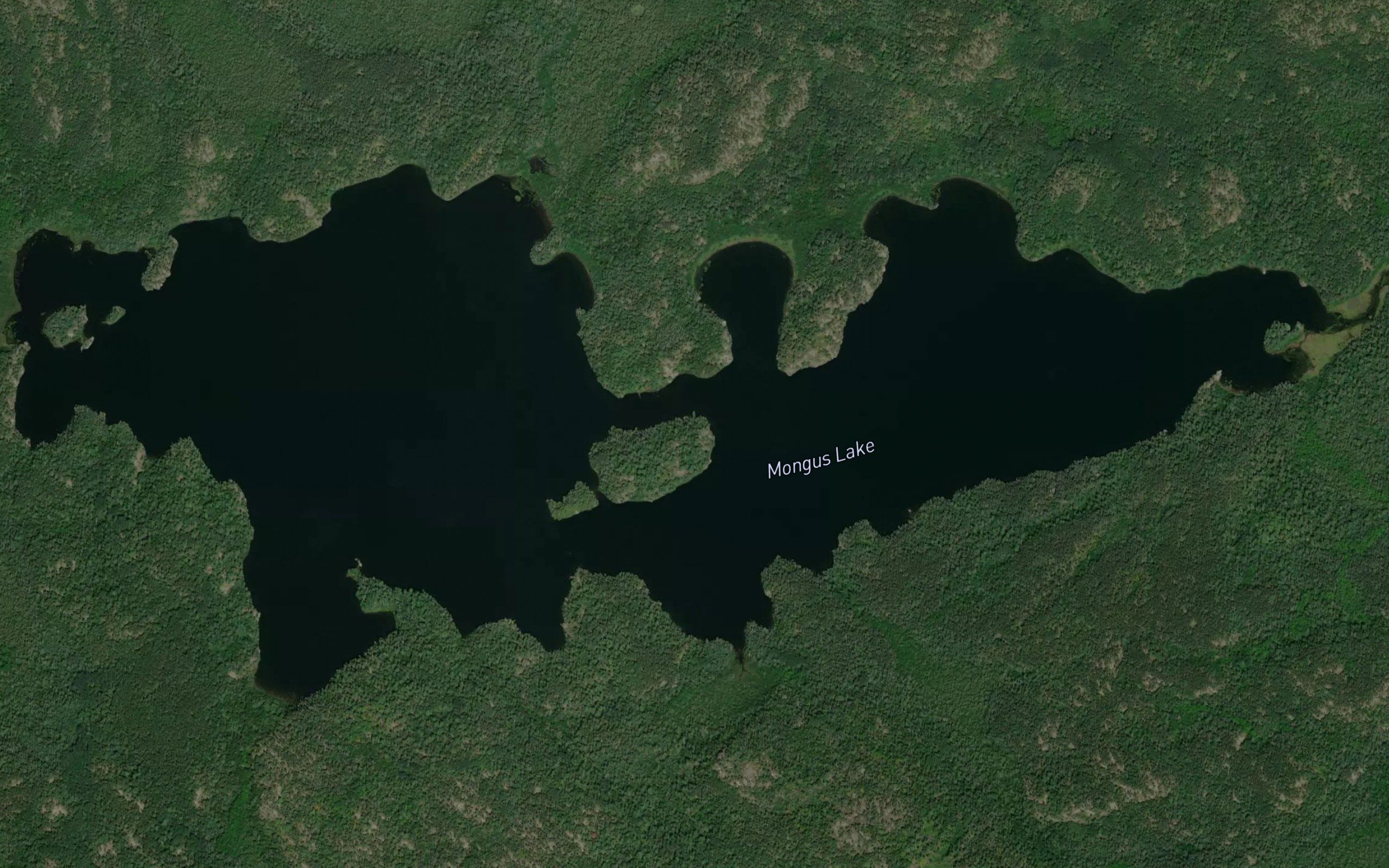 Mongus Lake