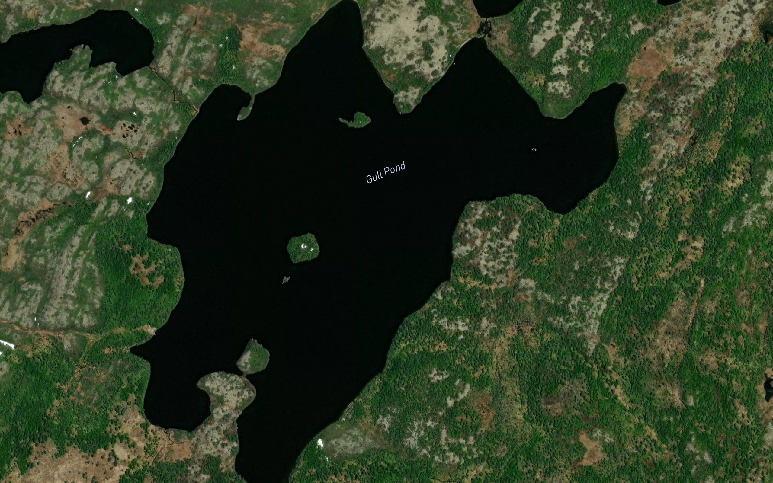 Gull Pond