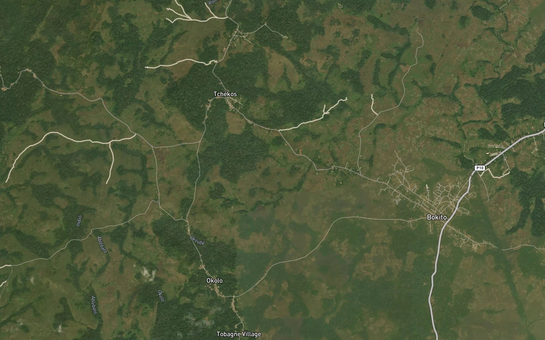 Satellite map of the Djong
