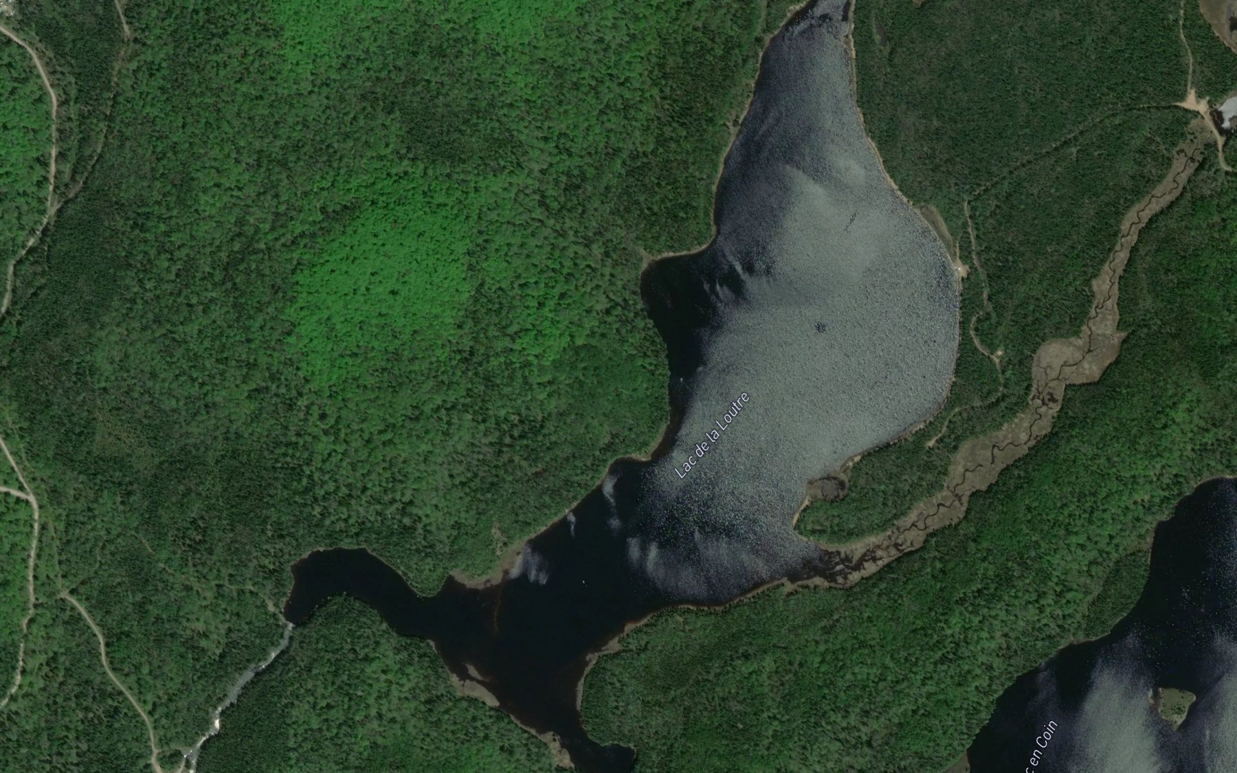 Satellite map of the Lac de la Loutre