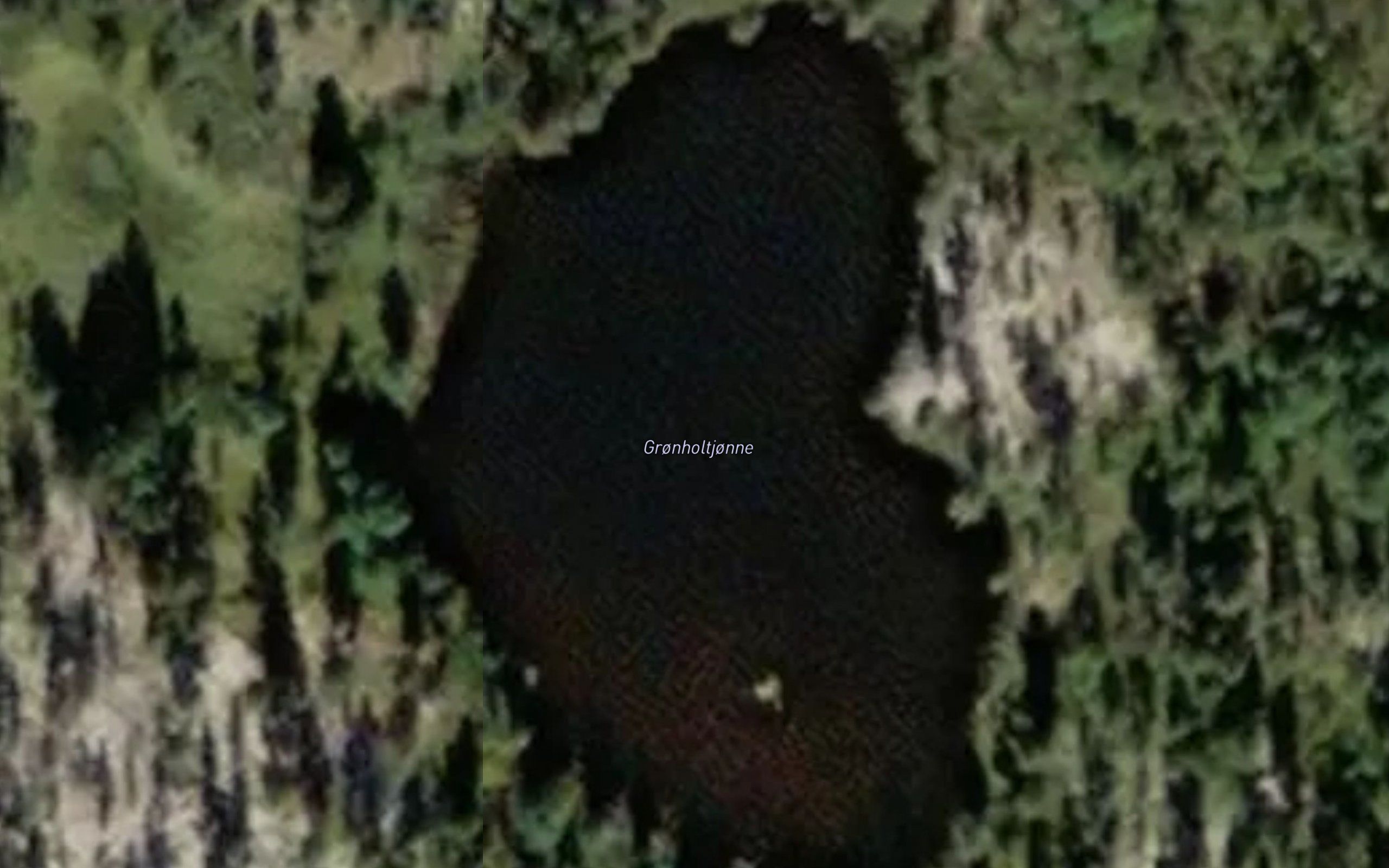 Gronholtjorni