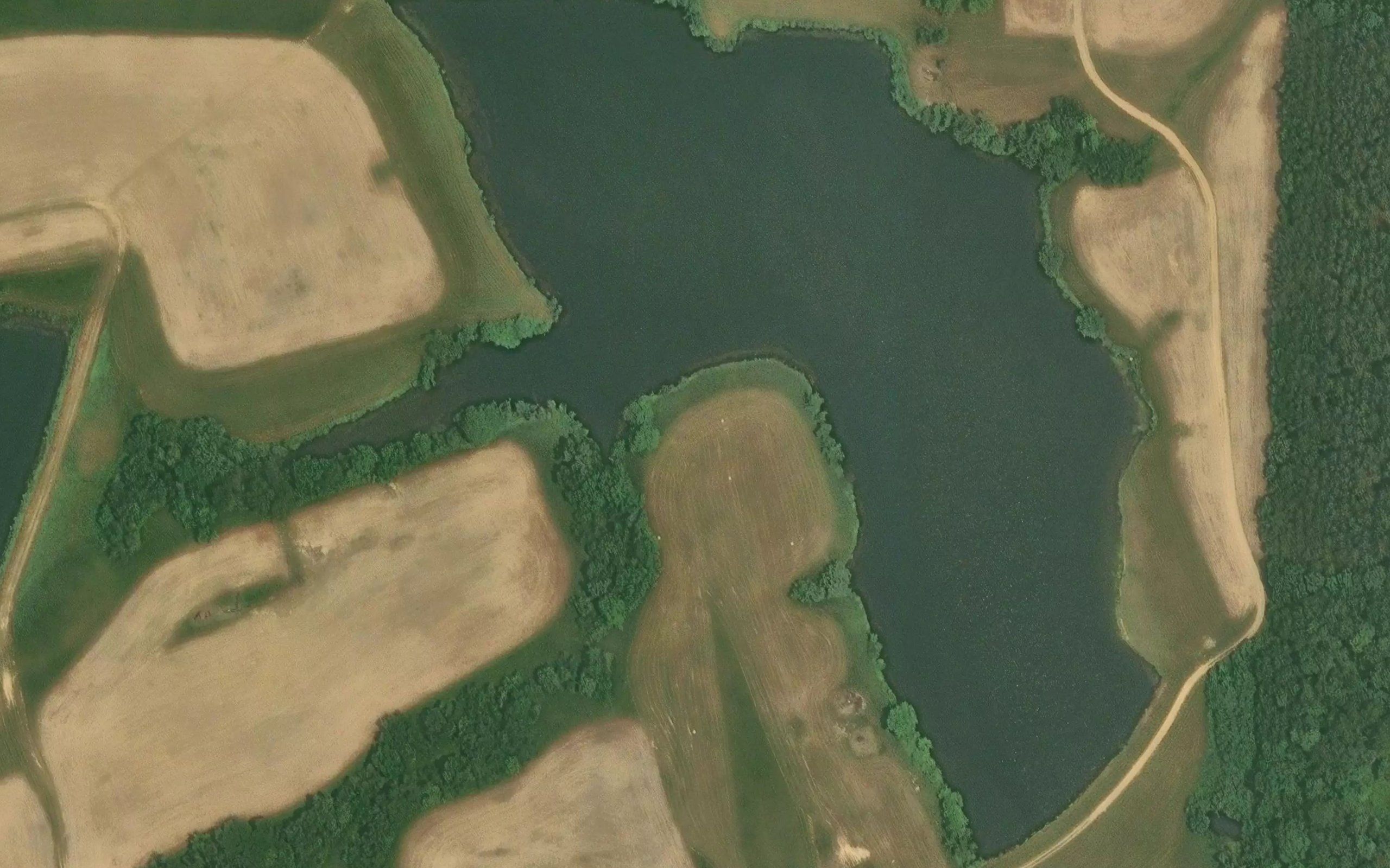 C M Luburgh Estate Pond Number 9717