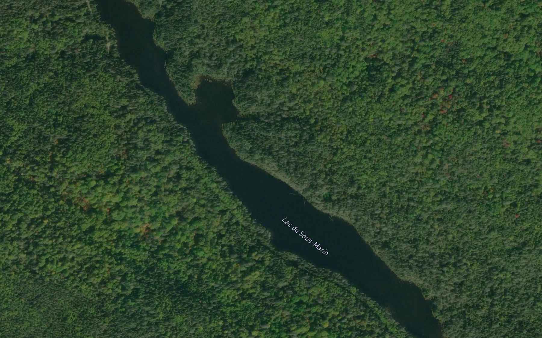 Satellite map of the Lac du Sous-Marin