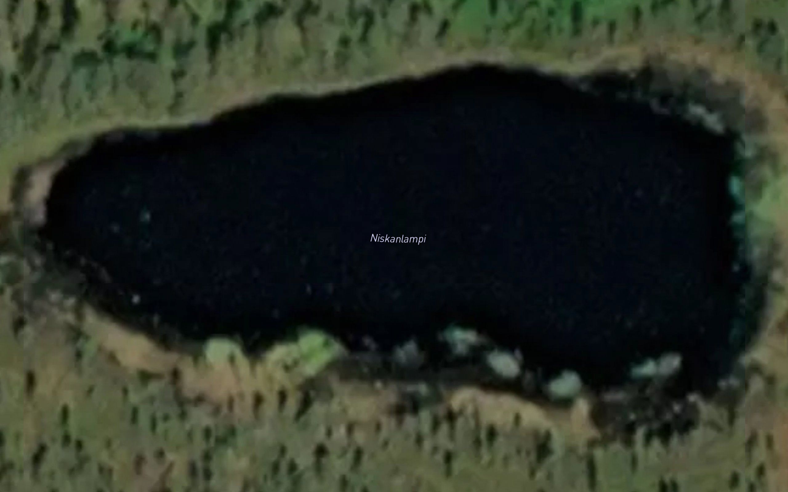 Niskanlampi