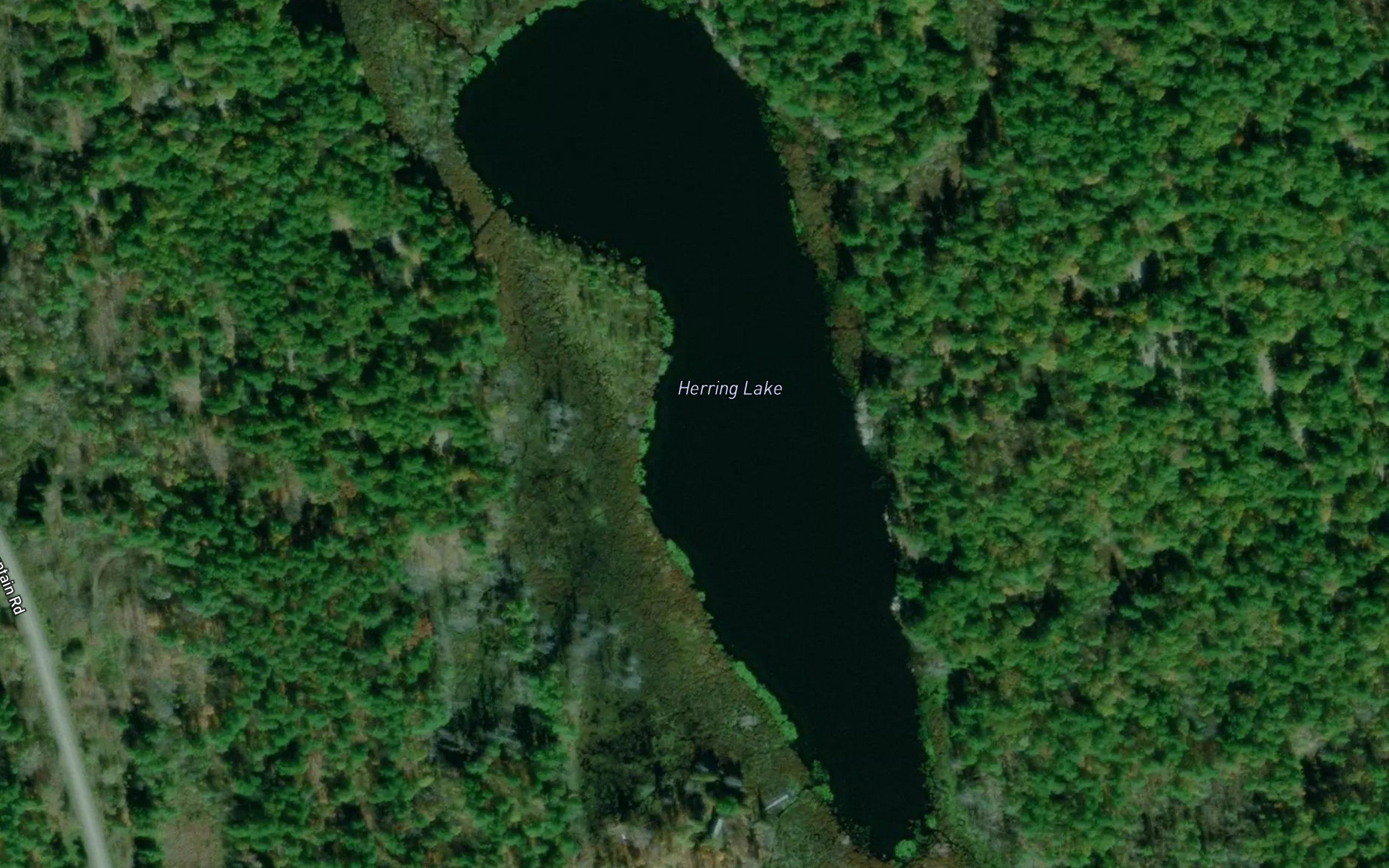 Herring Lake