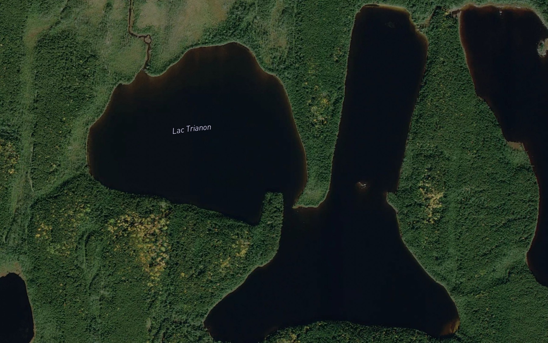 Satellite map of the Lac Trianon