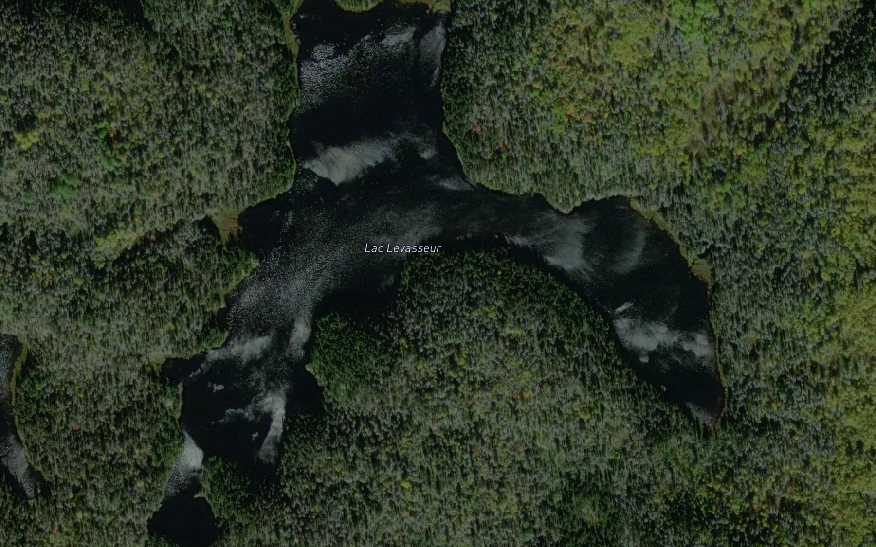Satellite map of the Lac Levasseur