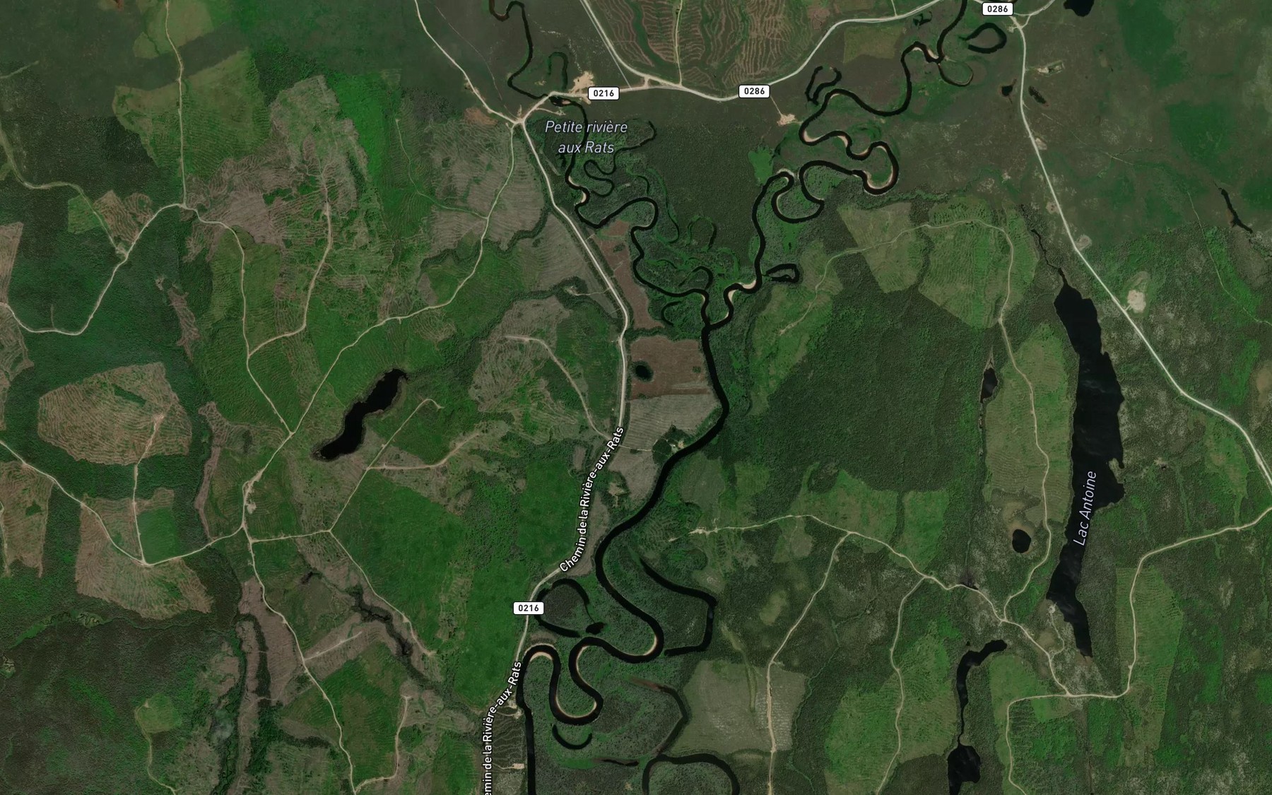 Satellite map of the Petite riviere aux Rats