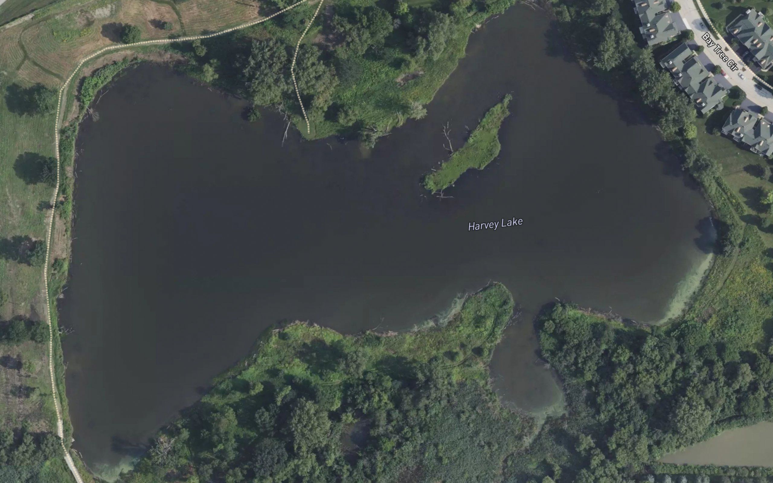 Harvey Lake