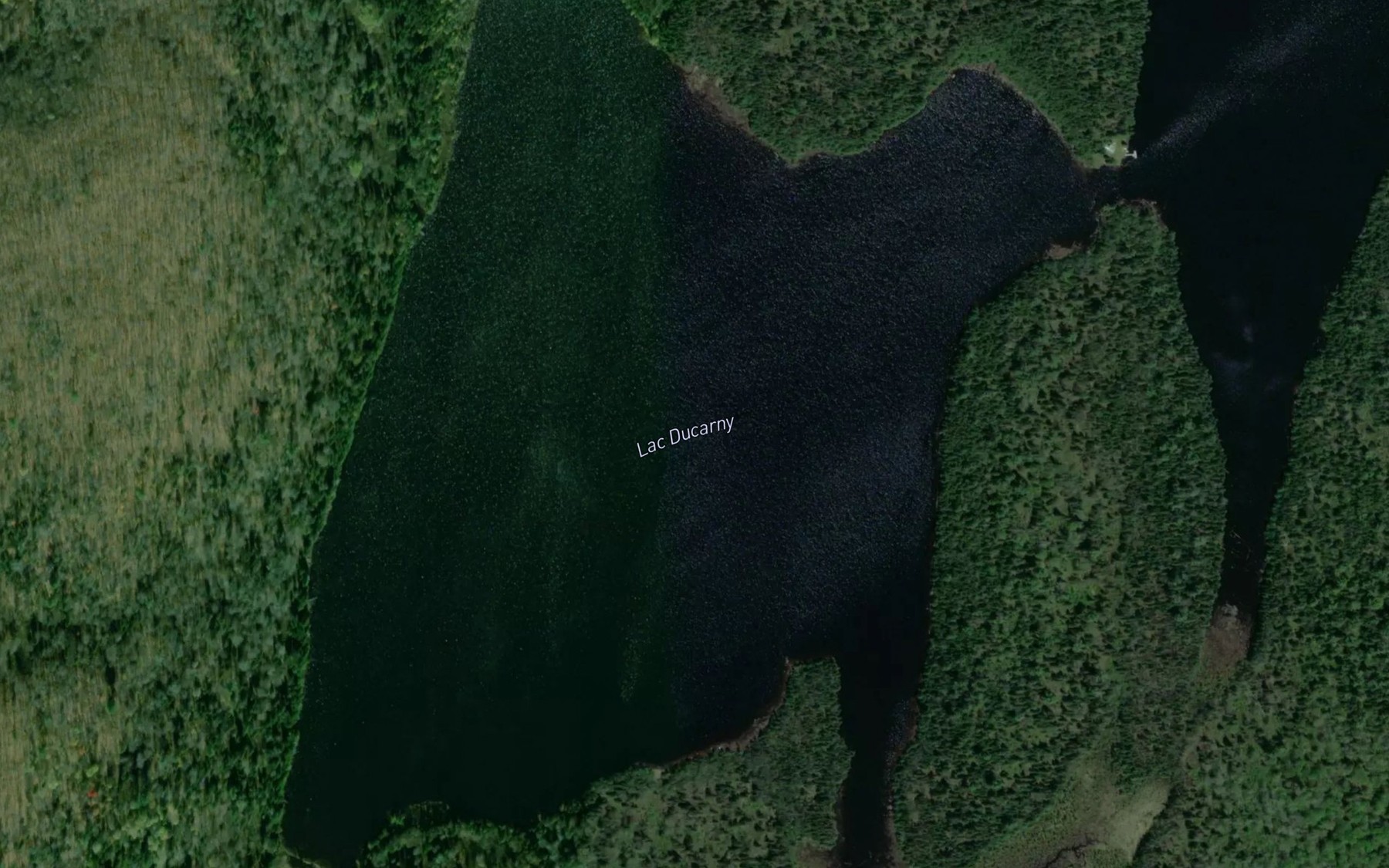 Satellite map of the Lac Ducarny