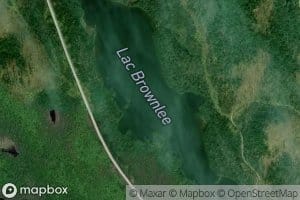 Lac Brownlee