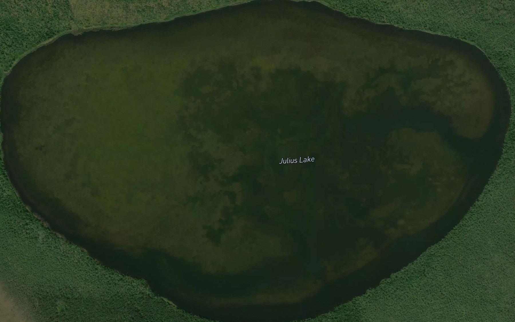 Satellite map of the Julius Lake