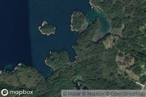 Vasslivika