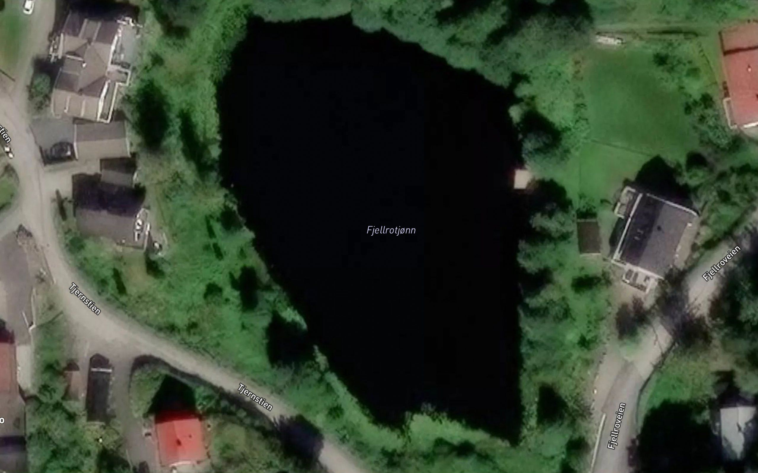 Fjellrotjonn