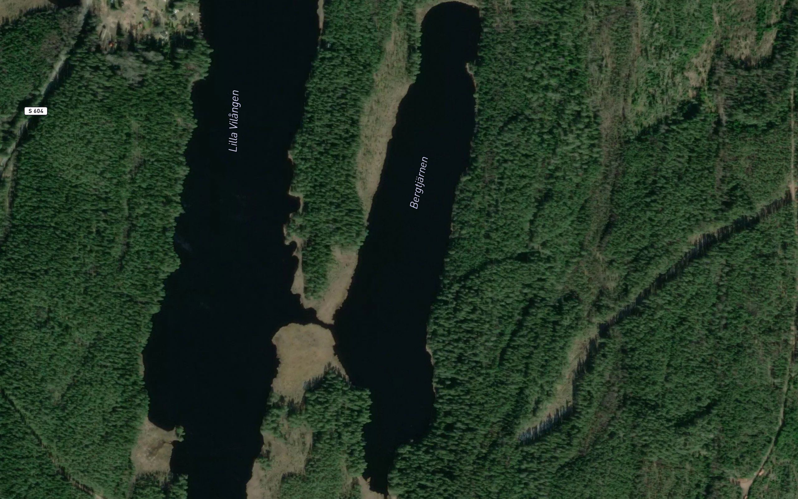 Bergtjarn