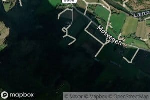 Gyrigrovi