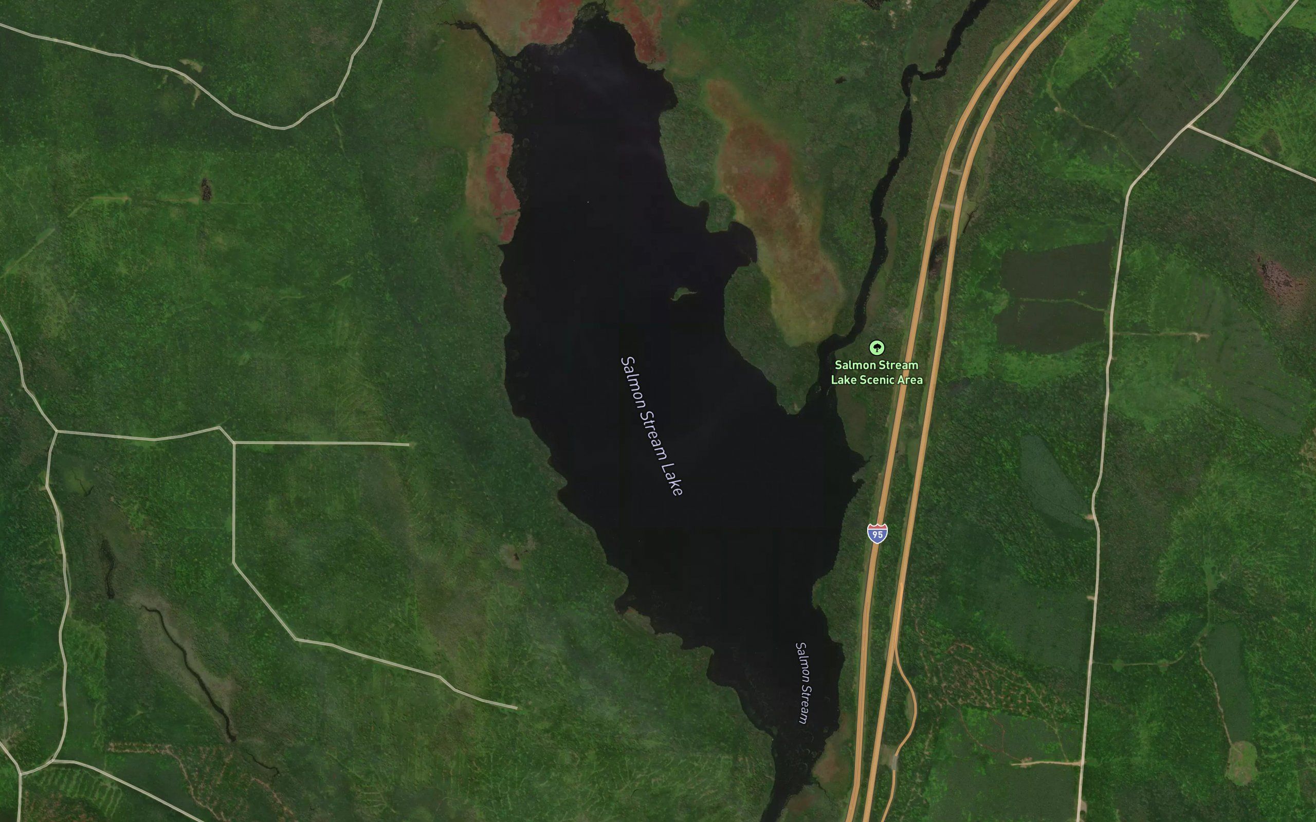 Salmon Stream Lake