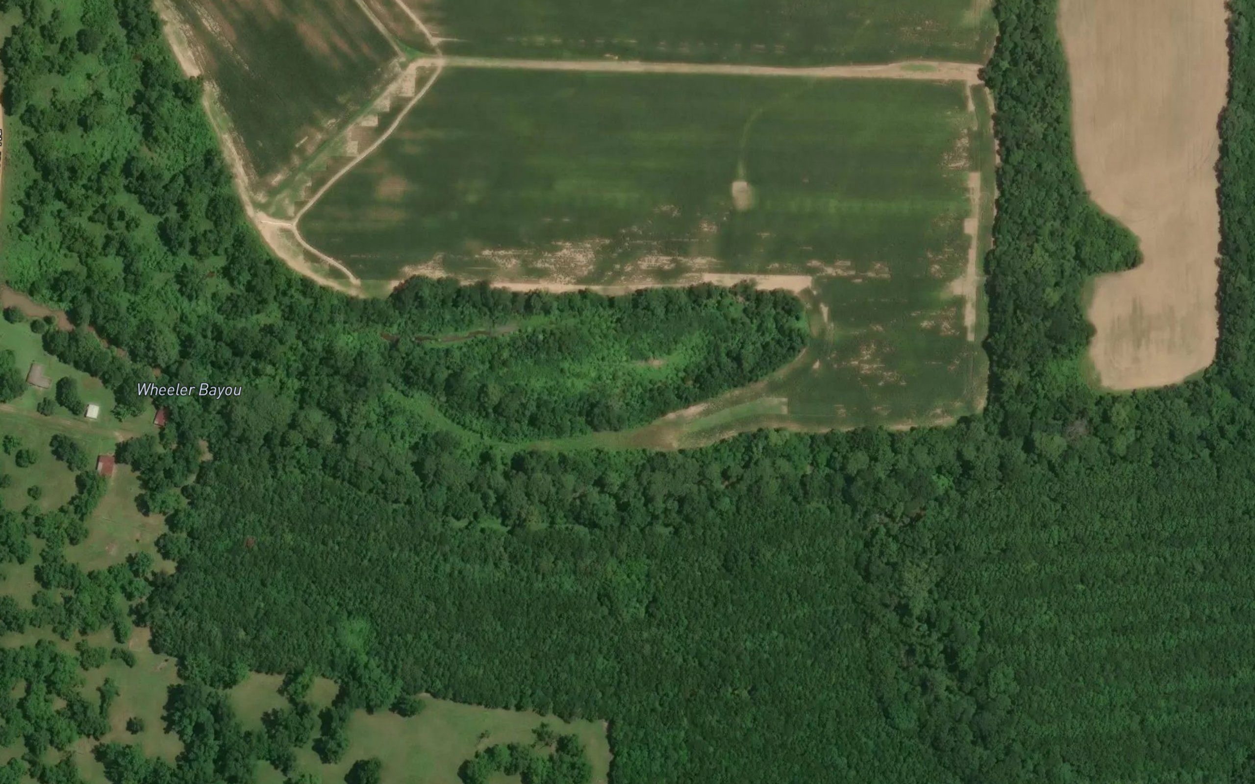 Wheeler Bayou
