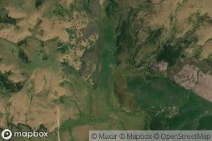 Moffats Stream