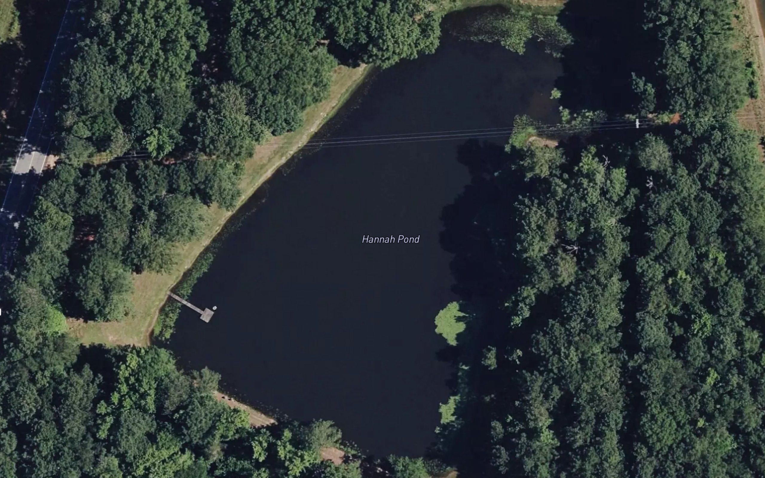 Hannah Pond