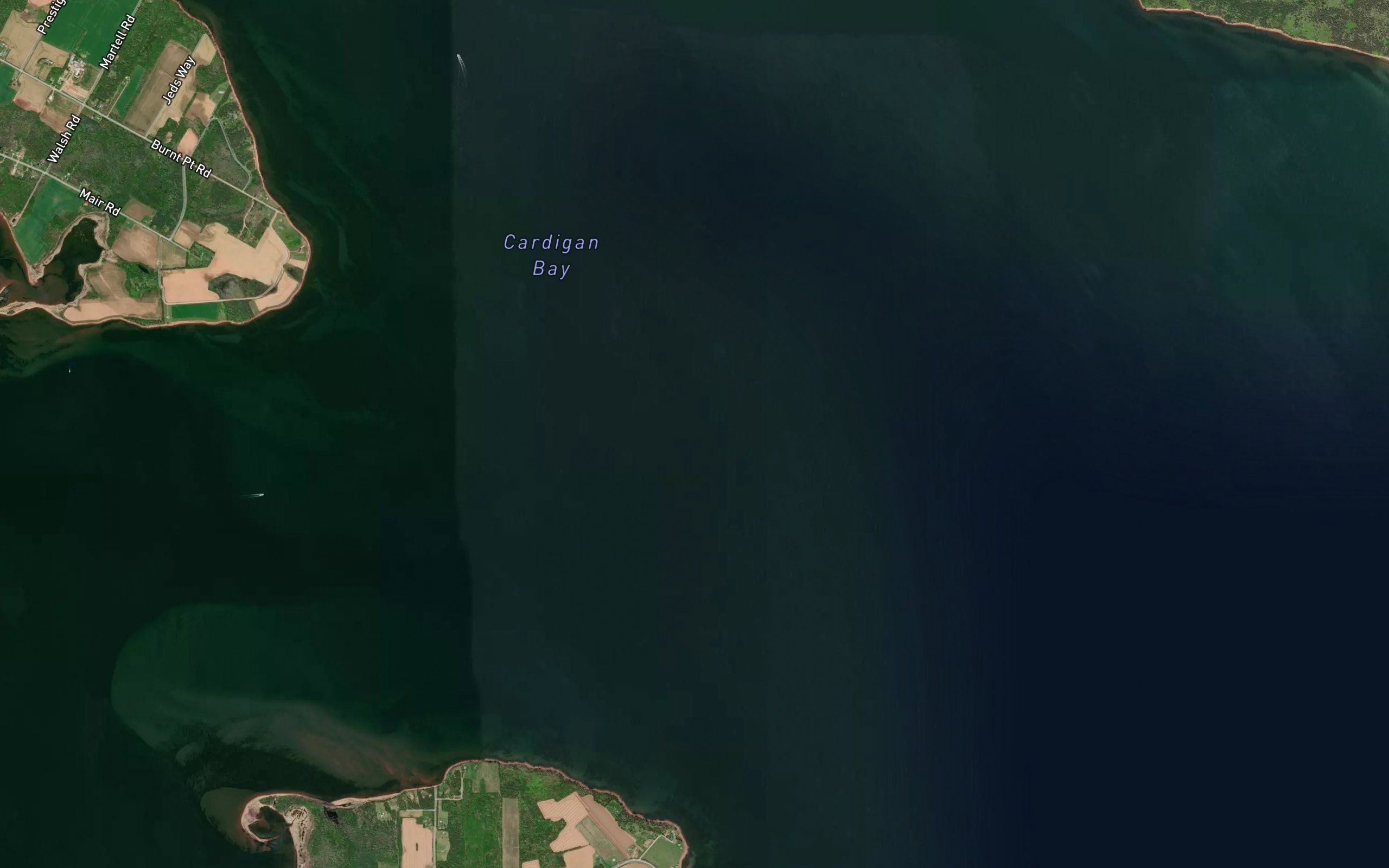 Cardigan Bay