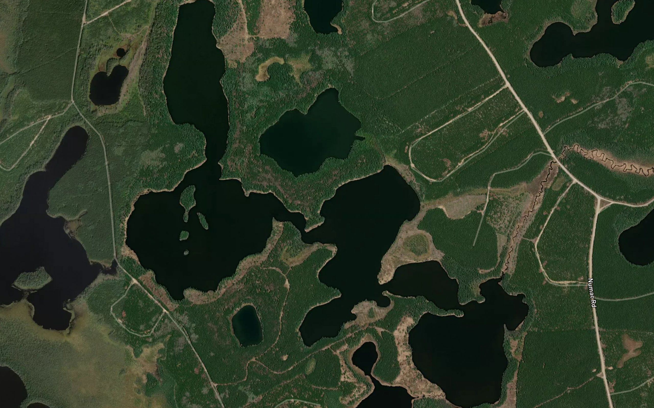 Upper Ricestalk Lake