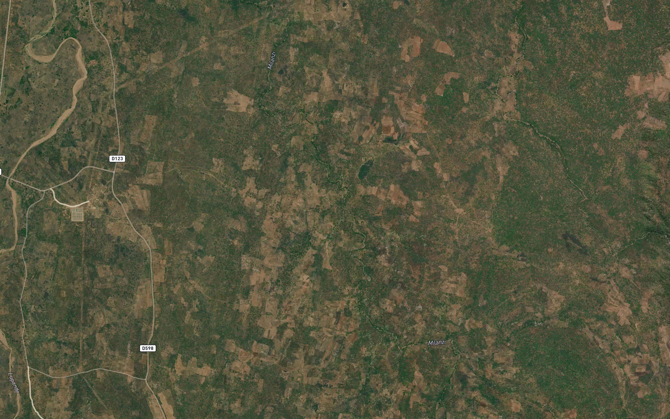 Chiswamoyo